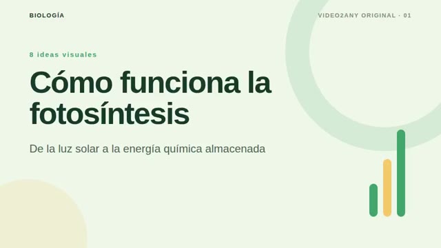 Cómo funciona la fotosíntesis — diapositivas de biología — slide 1