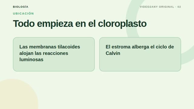 Cómo funciona la fotosíntesis — diapositivas de biología — slide 2