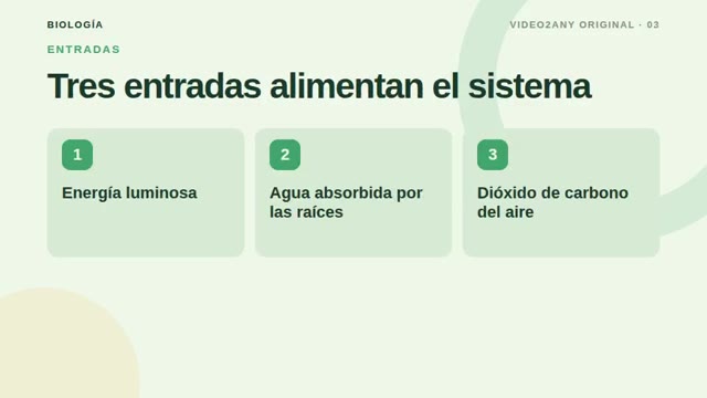 Cómo funciona la fotosíntesis — diapositivas de biología — slide 3