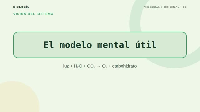 Cómo funciona la fotosíntesis — diapositivas de biología — slide 6