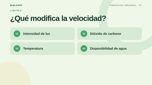 Cómo funciona la fotosíntesis — diapositivas de biología — slide 7