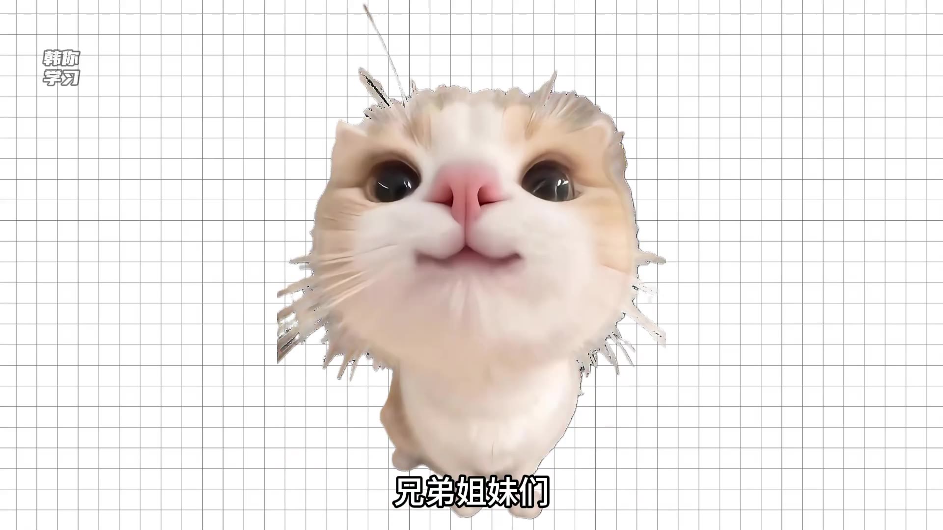 Captured slide at 00:00